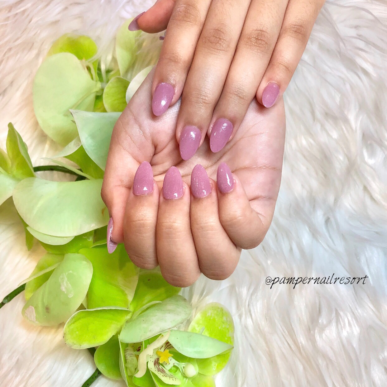 Almond-shaped nails in a soft mauve shimmer resting near green orchids
